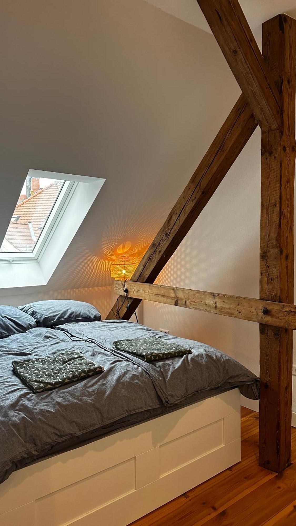 Ruhige-Moderne Wohnung Mit Burgblick Meissen Extérieur photo